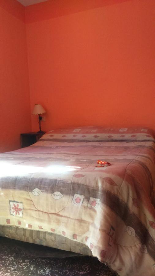 Hostel Internacional Mendoza Exterior photo